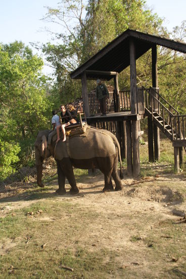 Taxistand für Elefanten 