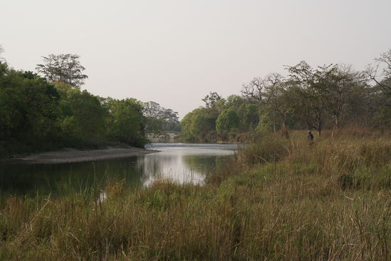 Wanderung durch den Dschungel