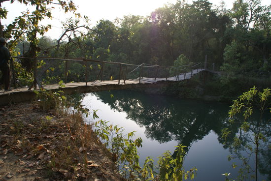 Eine tolle Brücke...  