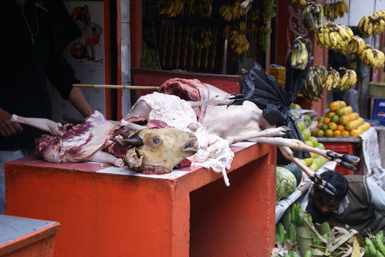 ...pfuideifl, und so was hab ich gegessen!! 