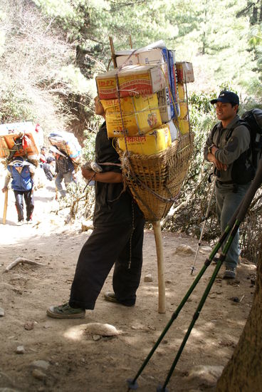 Träger!!  ...in den gelben Kartons sind Bierflaschen in den blauen Kartons Wasserflaschen!!