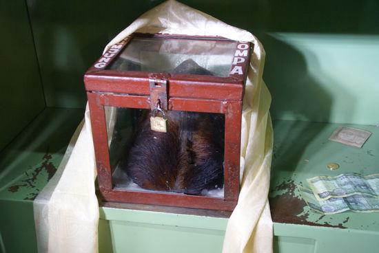 Yeti-Skalp im Kloster Khumjung