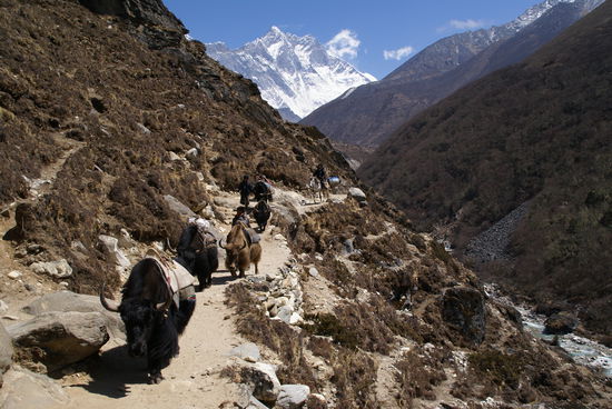 Yakherden kamen uns entgegen