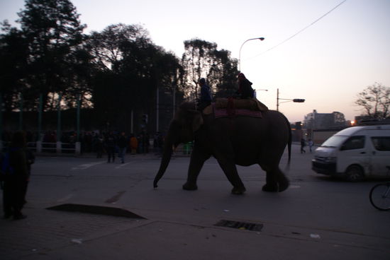 Ungewöhnlicher Verkehr Morgens um 7:00 an unserem Treffpunkt in Kathmandu 