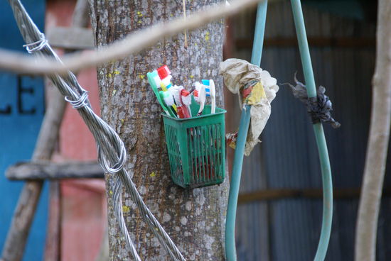 Aufbewahrung der Zahnbürten an einem Baumstamm (Alibert)
Ich habe meine aber nicht da reingesteckt! 