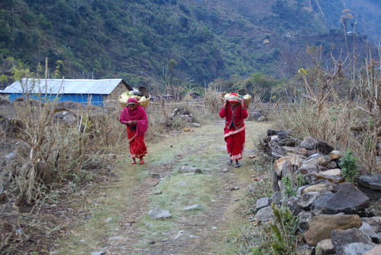 Marktfrauen mit Gemüse
