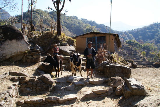 Bauern mit ihren Kühen