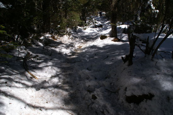 Ab 3000m liegt Schnee