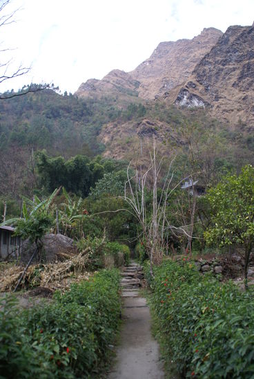 Der Garten meines Hotels