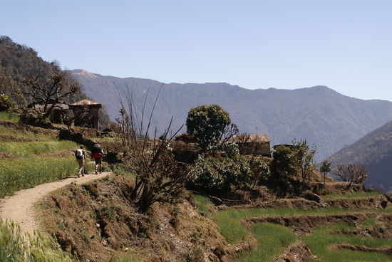 Sehr schöner Höhenweg zw. 2600 u. 2100m