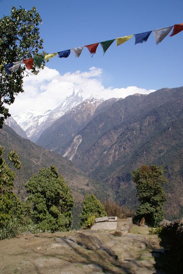 Blick Richtung Basecamp. 
Mitte links ist der Weg zu sehen, doch zuerst Abstieg nach Chhomrong zum bis zum Fluss und dann auf der anderen Seite wieder hoch!! 