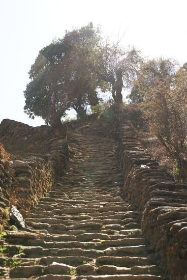 In Chhomrog musste ich wieder endlose Treppenstufen hinabsteigen