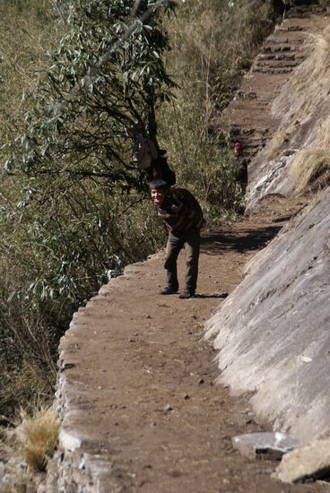 ...er ist nun glaub ich auch für Rollstuhlfahrer geeignet! 