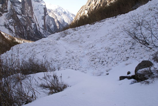 Lawiene über dem Weg...  