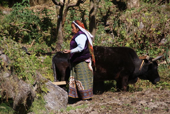 ...und seine Frau säht anschließend irgendwas an!