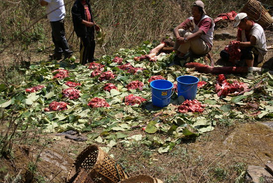 Das Fleisch wurde in viele kleine Portionen aufgeteilt.
Und auf jeder der Portionen sassen viele, viele Fliegen!!