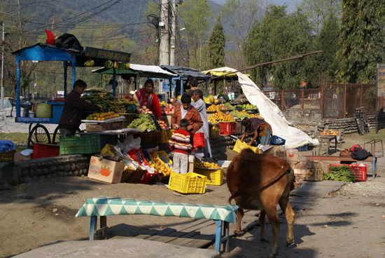 Obstverkäufer boten ihre Ware feil