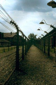 Stacheldraht, geladen mit tödlicher Hochspannung im Hauptlager Auschwitz.
