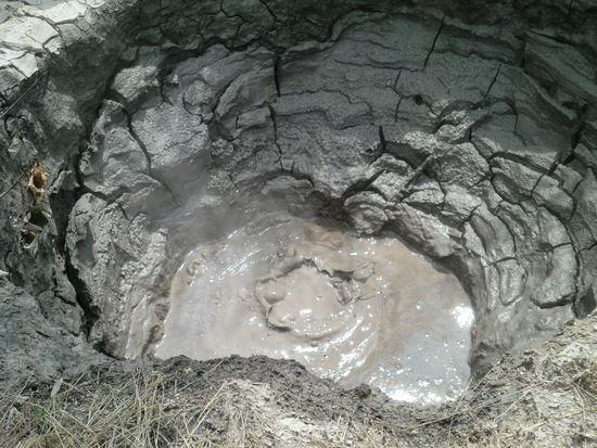 ... und blubbernder Matsch in Rotorua