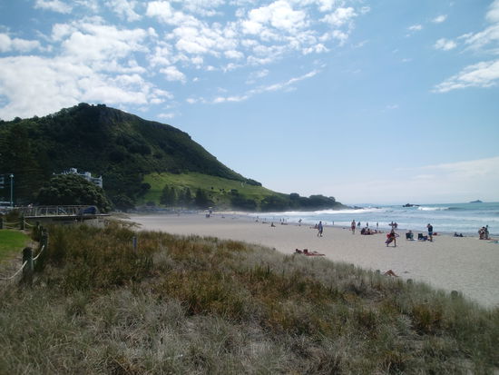 Das war der Strand von Mt. Maunganui und der Berg (...) da hinten das ist der Namensgeber dieses netten Oertchens. Da waren wir natuerlich oben.
