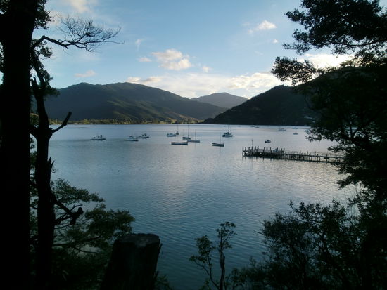 Blick vom Queen Charlotte Track