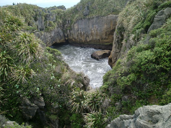Damit Papa auch mal ein bisschen Landschaft zu sehen bekommt 
Das waren die Pancake-Rocks. Die heißen deswegen  weil sie aussehen wie übereinander gestapelte Pfannkuchen. Auf dem nächsten Bild sieht man das besser.