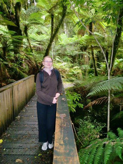Brücke im Regenwald. Leider sind die Farben nicht so schön geworden. Es war wirklich toll dort!
