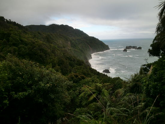 Weg nach Queenstown. Einer von gefühlten 100 Fotostops. Der Busfahrer dachte wohl, uns würde bei 8 Stunden Fahrt langweilig werden 