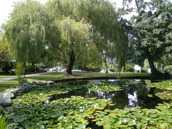 Der Garten, wir würden es Park nennen, aber naja 
