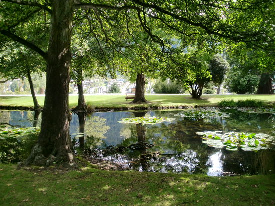 Nochmal der Teich vom anderen Ende