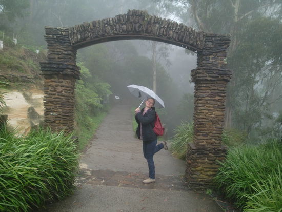 Nebel in den Blue Mountains