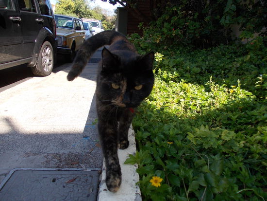 Jeemand, der unbedingt Gesellschaft wollte. Sehr süß!!!