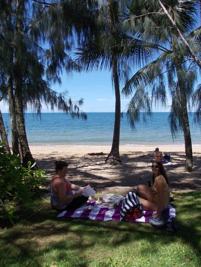 Unser Picknick unter Palmen