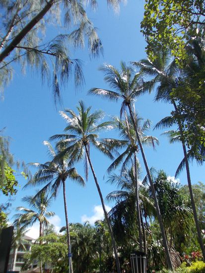 mehr gibts heute nicht 