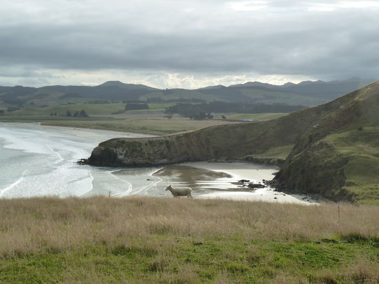 Mein (K) Neuseelandbild ueberhaupt 