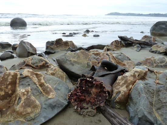 In der Mitte: eine angespuehlte Meerespflanze aus dem Pazifik. Rechts und Links: "geplatzte" Boulders