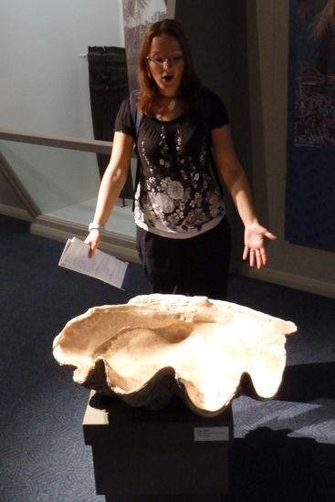 Da gabs sooooo große Muscheln!!