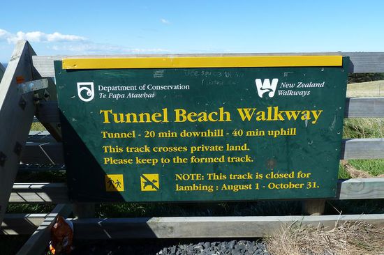 Am naechsten Tag wurds dann wieder sportlich: Suedwestlich  von Dunedin gibts einen kurzen Track, der zum Tunnel Beach fuehrt