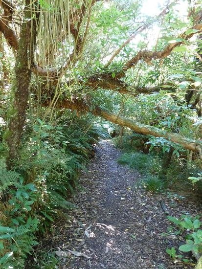 Ausflug in den Botanischen Garten