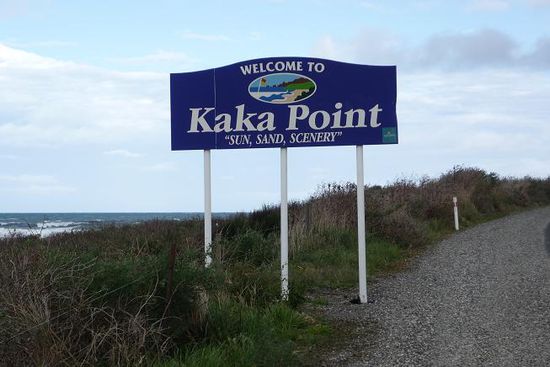 der Nugget Point am Kaka Point