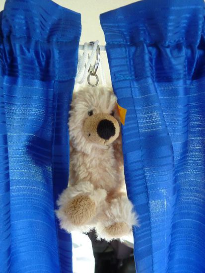 unser Reisemaskottchen Charlie