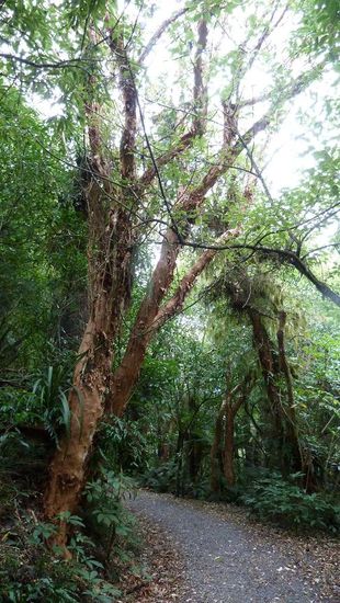 Irgendwie wie zu Hause und doch anders...