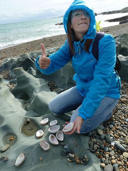 Ich wieder im Muschelwahn: zahlreiche VirginPauamuscheln mussten von mir persoenlich sondiert und auf Markelosigkeit ueberprueft werden..