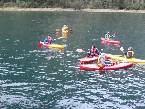 Alex ging Kajak fahren. Hier hatte er auch Gesellschaft von vielen vielen Sandfliegen (NZ's einzig wahre PEST)