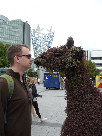 Auge in Auge mit einer Buschgiraffe...