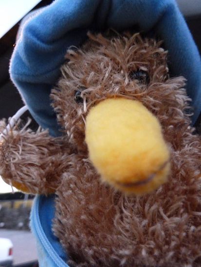 Das ist Derek. Unser Äquivalent für die Plüschwürfel am Rückspiegel.