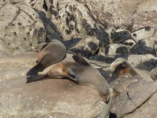 Eines meiner Lieblingsbildern und definitiv mein persönliches Vorbild.