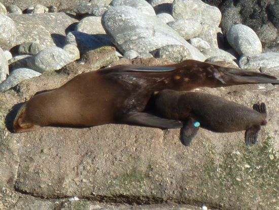 Da konnten wir nicht mehr. Mama mit Kind am kuscheln  Herzallerliebst!