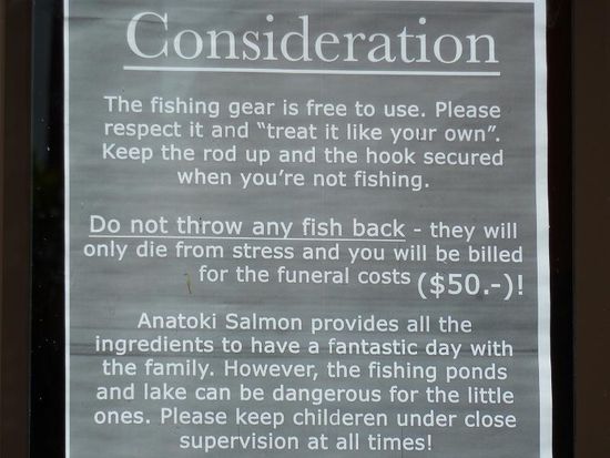 Das ein Fischbegräbnis so teuer sein kann...