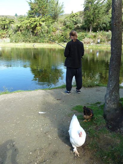 Also standen wir, und warfen aus und holten ein und wechsslten uns ab und standen und warfen aus...... MAAAAAAAAAAAAAAANNNN!!!!!!!!! KEIN SCH**** LACHS BEISST AN!!! 1Stunde war schon vorbei!! Das Kuriose: Am Ufer gegenüber kam ein älteres Ehepaar dazu, die nach nicht mal 5min einen dicken Fisch an der Angel hatten.... Also entweder den Standort wechseln oder es gibt doch Huhn zum Abendbrot.....